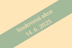 Soukromá akce na hřišti ve Všeteči 14. 6. 2025