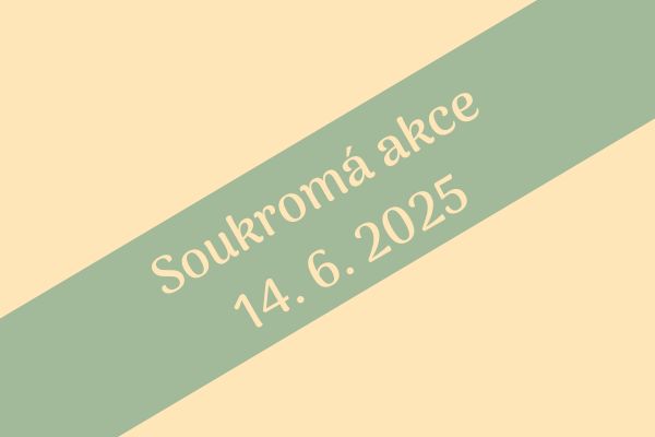 Soukromá akce na hřišti ve Všeteči 14. 6. 2025