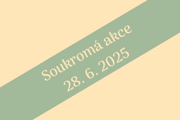 Soukromá akce na hřišti ve Všeteči 28. 6. 2025